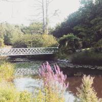 Copenhagen Botanic garden